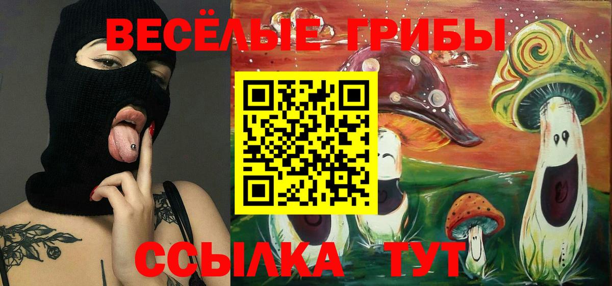 Псилоцибиновые грибы MAGIC MUSHROOMS  Вход с VPN  Алексеевка  наркошоп  Псилоцибиновые грибы мицелий 