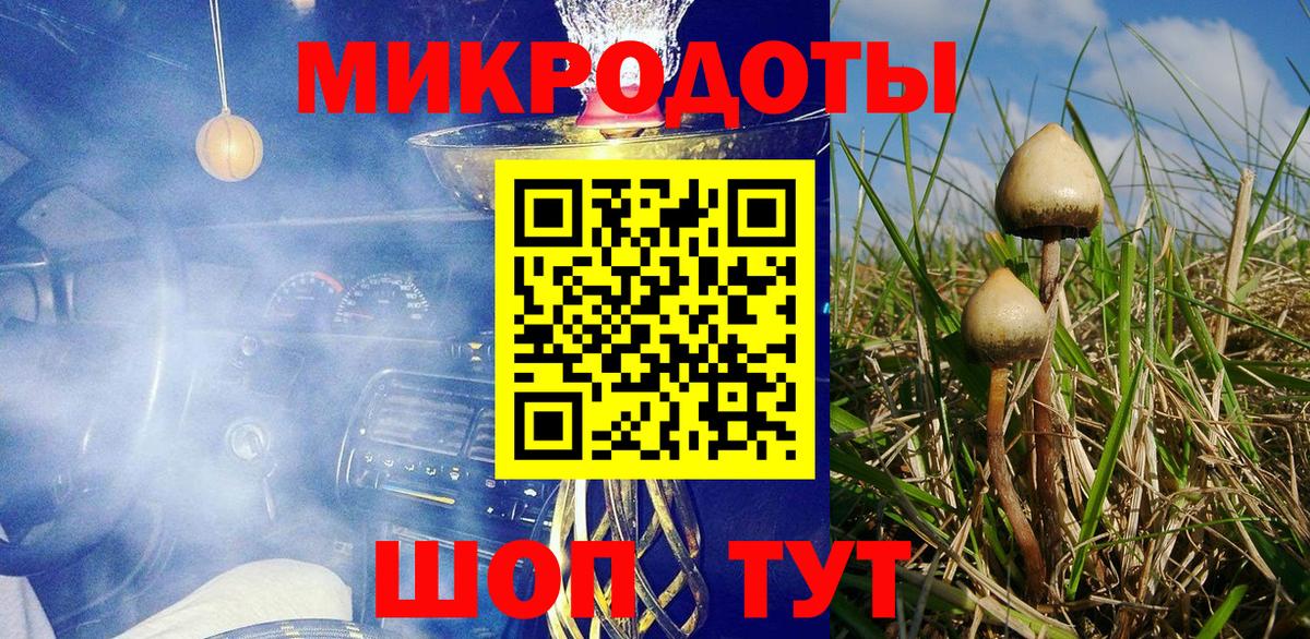 Галлюциногенные грибы MAGIC MUSHROOMS Алексеевка